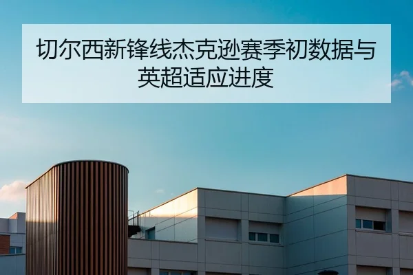 切尔西新锋线杰克逊赛季初数据与英超适应进度